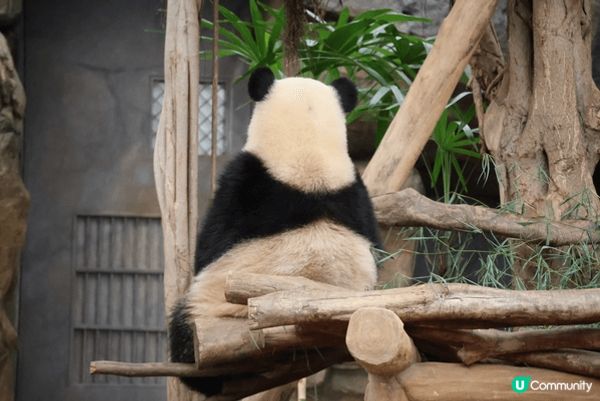夏天梗係要去海洋公園玩