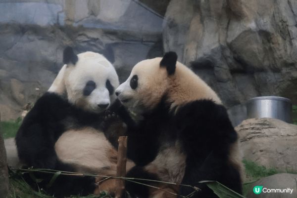 夏天梗係要去海洋公園玩