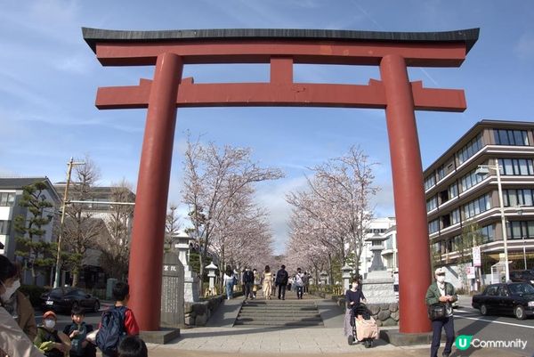 鶴岡八幡宮、明月院、鎌倉大佛，還有…？鎌倉江之島景點6選