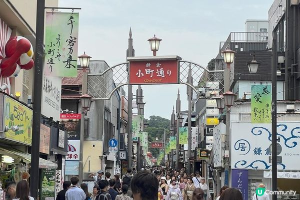 鶴岡八幡宮、明月院、鎌倉大佛，還有…？鎌倉江之島景點6選