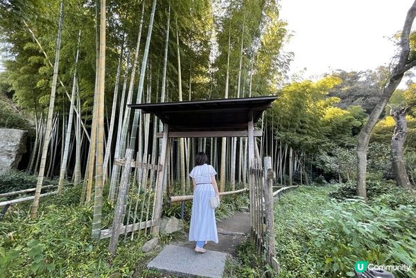 鶴岡八幡宮、明月院、鎌倉大佛，還有…？鎌倉江之島景點6選