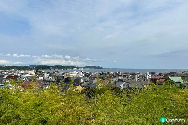 鶴岡八幡宮、明月院、鎌倉大佛，還有…？鎌倉江之島景點6選