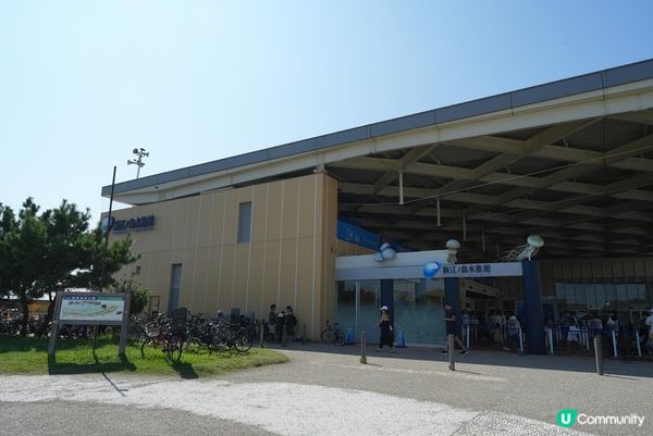 鶴岡八幡宮、明月院、鎌倉大佛，還有…？鎌倉江之島景點6選