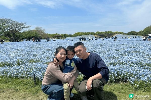 海之中道花海。一家人很合適的景點。公園小吃花海動物園。玩足一...