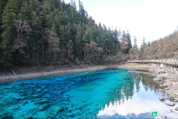 九寨溝位於阿壩州九寨溝縣境內，溝中雪峰林立，林木茂密，水池淺...