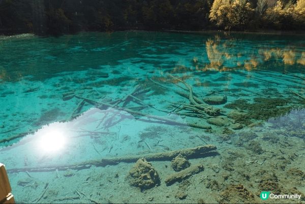 九寨溝位於阿壩州九寨溝縣境內，溝中雪峰林立，林木茂密，水池淺...