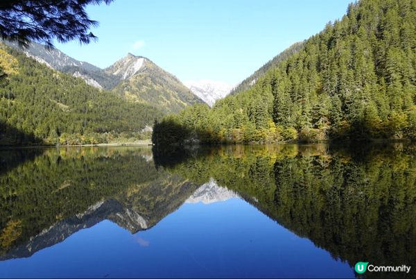 九寨溝位於阿壩州九寨溝縣境內，溝中雪峰林立，林木茂密，水池淺...
