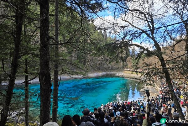 九寨溝位於阿壩州九寨溝縣境內，溝中雪峰林立，林木茂密，水池淺...