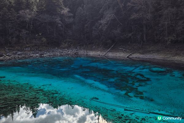 九寨溝位於阿壩州九寨溝縣境內，溝中雪峰林立，林木茂密，水池淺...