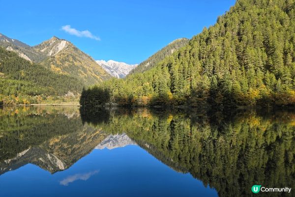 九寨溝位於阿壩州九寨溝縣境內，溝中雪峰林立，林木茂密，水池淺...