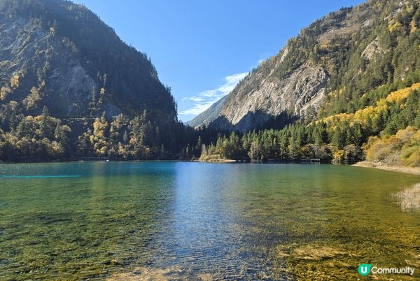 九寨溝位於阿壩州九寨溝縣境內，溝中雪峰林立，林木茂密，水池淺...