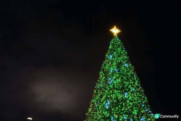 聖誕打卡最舒服梗係西九啦，啱曬一家大細、毛孩、長者同bb