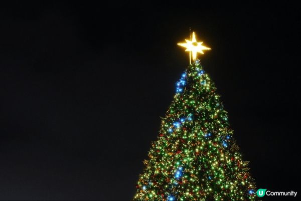 聖誕打卡最舒服梗係西九啦，啱曬一家大細、毛孩、長者同bb