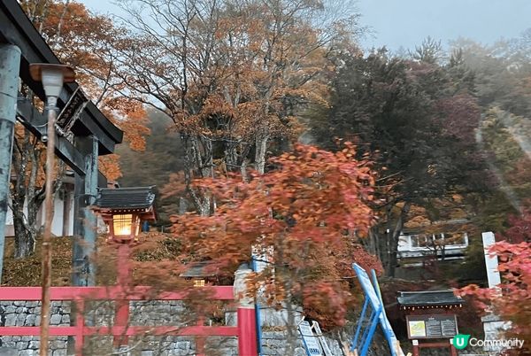 日本的紅葉最為吸引，而湯宿係一個讓人遠離煩囂，景色宜人好地方...