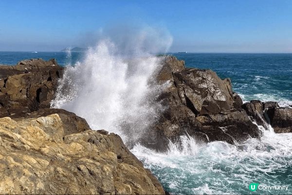 我會推介位於西貢區最南端的島嶼東龍島，島上面有多個著名景點，...