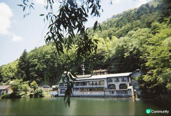 帶兒子去福岡旅行，食炭燒鰻魚，去金鱗湖，清澈嘅湖水比太陽照射...