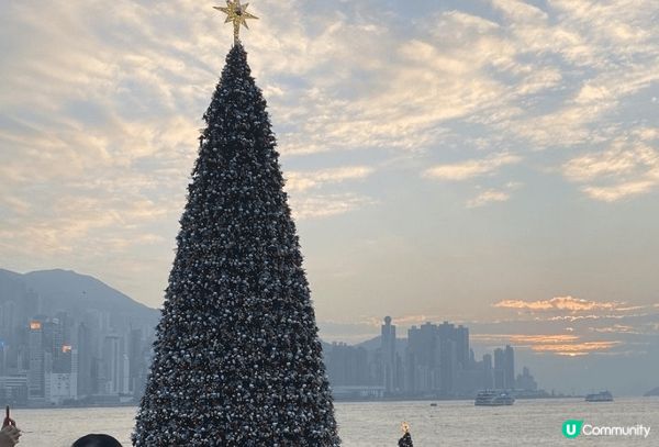 我推薦西九聖誕樹和聖誕小鎮，因為這裡不僅有壯觀的聖誕樹，還有...