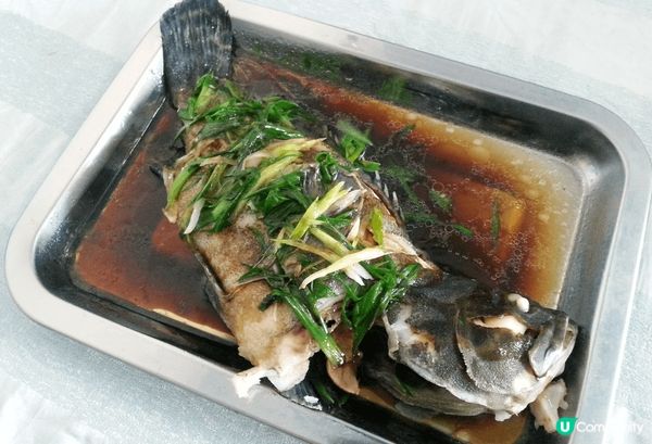 以魚為食材的美饌，透過不同烹飪技巧及煮法，呈現出食物的多變口...