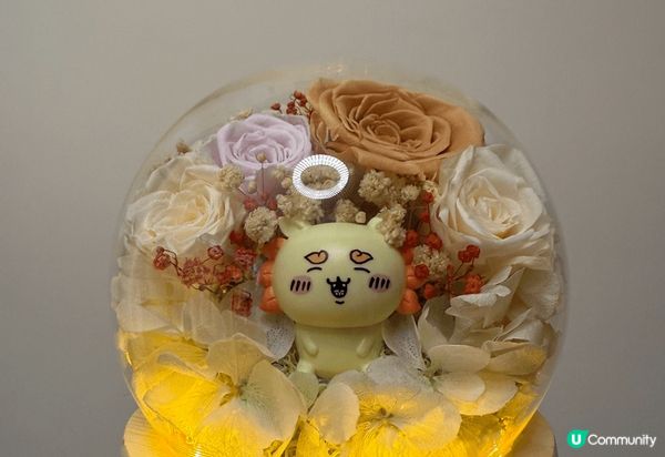 我想分享我最鍾意的兔哥和風獅！第一張係我自己整嘅陶瓷公仔，兔...