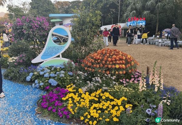 深圳東湖菊花會開鑼！親子必去,玩轉充氣城堡！