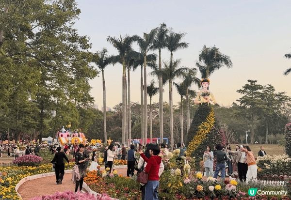 深圳東湖菊花會開鑼！親子必去,玩轉充氣城堡！