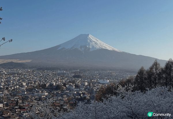 三四月當然要去東京賞櫻，普通東京街道都已經靚到不得了，今年特...