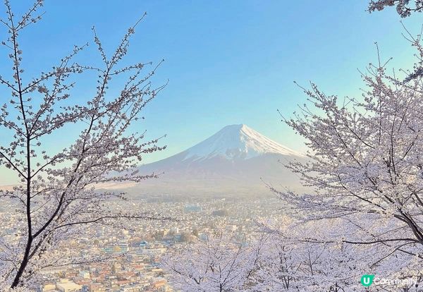 三四月當然要去東京賞櫻，普通東京街道都已經靚到不得了，今年特...