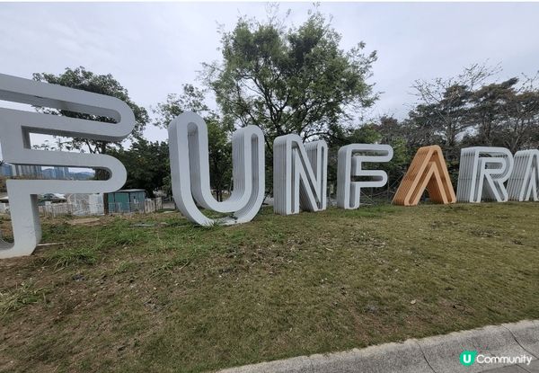 深圳光明歡樂田園，車程畧遠，但可以一睹油菜花田，兩排黃色風鈴...