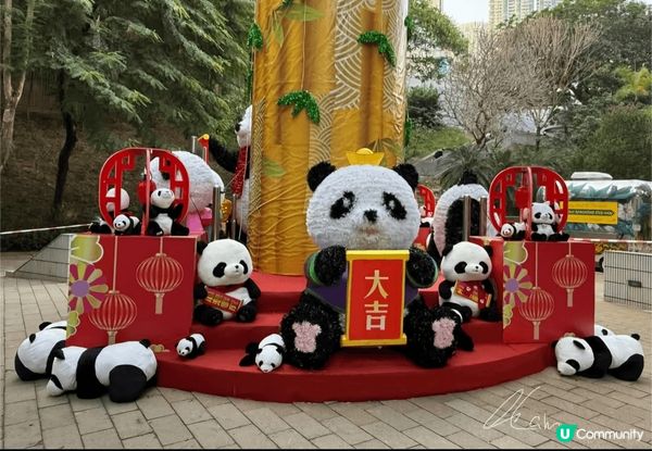 香港公園今個新年以熊貓為主題佈置，好有新年氣氛，我帶了小朋友...