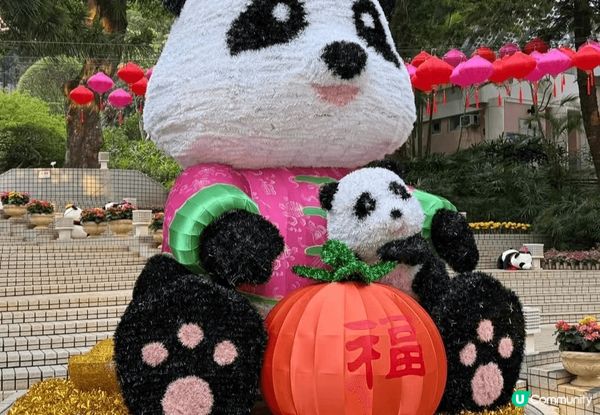 香港公園今個新年以熊貓為主題佈置，好有新年氣氛，我帶了小朋友...