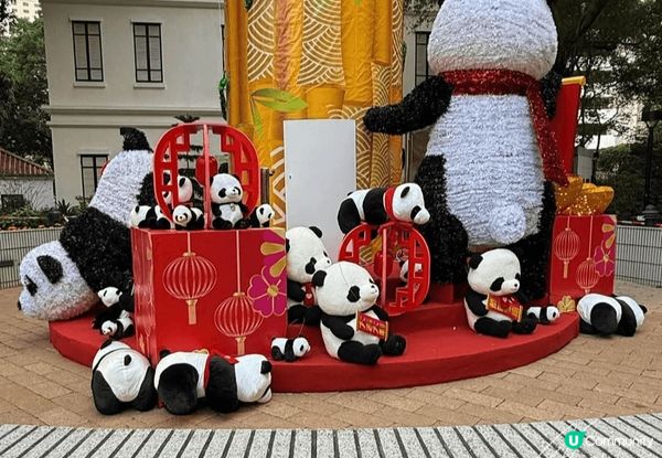 香港公園今個新年以熊貓為主題佈置，好有新年氣氛，我帶了小朋友...