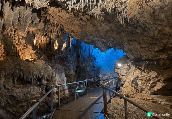 去沖繩鐘乳石洞/美麗海水族館，睇自然靚景色