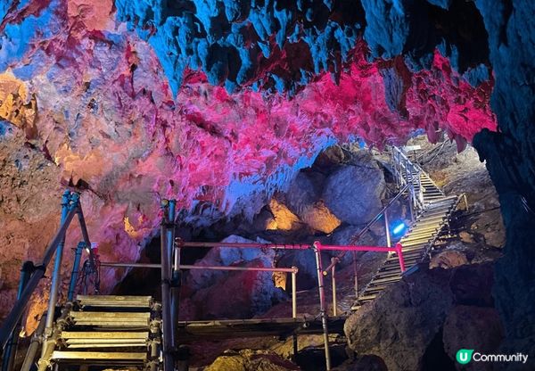 去沖繩鐘乳石洞/美麗海水族館，睇自然靚景色