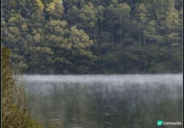 流水響水塘每逢秋冬，水塘週圍的落羽松會轉為橘紅色，同小朋友打...