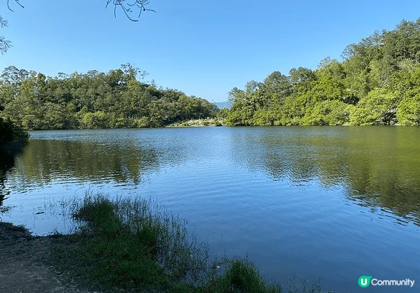 流水響水塘每逢秋冬，水塘週圍的落羽松會轉為橘紅色，同小朋友打...