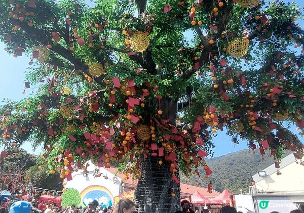 # 甜甜蜜蜜過新年 林村許願 花車巡遊迎佳節