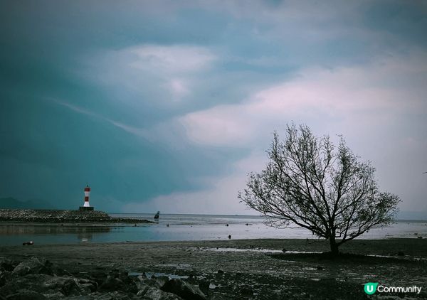 海與鄉村的共鳴 是繁華城市生活的放鬆和寧靜 走出都市邁向大自...