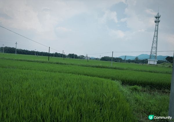 海與鄉村的共鳴 是繁華城市生活的放鬆和寧靜 走出都市邁向大自...