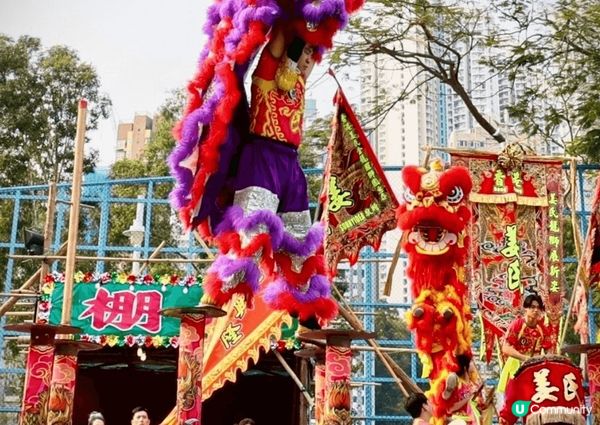 鴨脷洲洪聖傳統文化節～大家快去感受下，不知何時失傳喔！