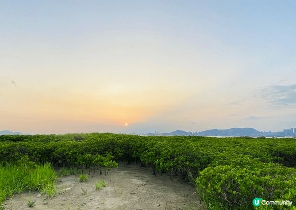 山頂可以睇到東方之珠最美的一個位置, 下白泥在繁榮的地方都會...