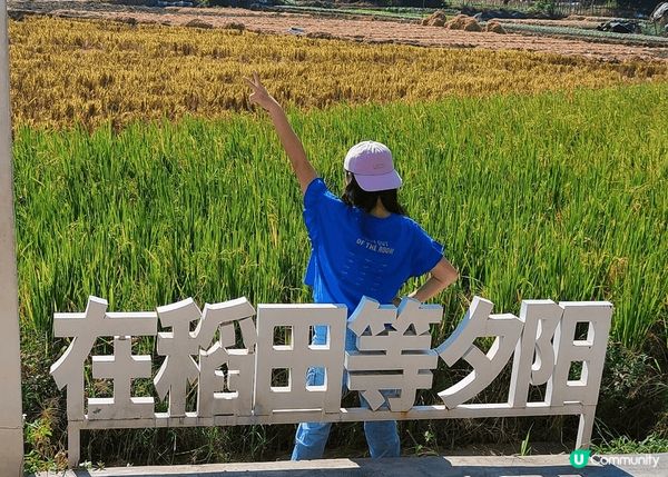 漫遊中山三鄉橋頭村，有稻田，有古廟，有祠堂，有精緻咖啡室.....