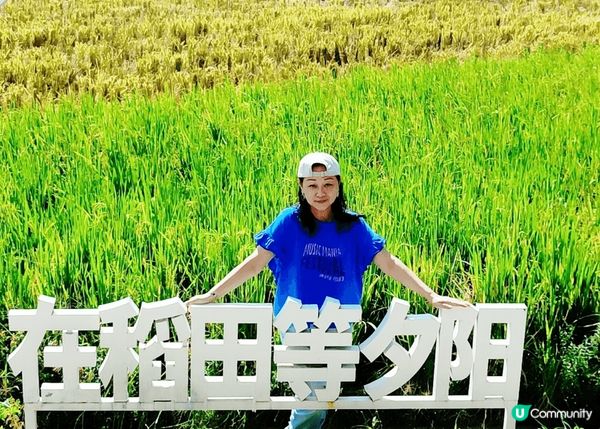 漫遊中山三鄉橋頭村，有稻田，有古廟，有祠堂，有精緻咖啡室.....