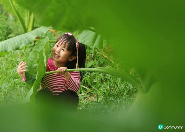 深圳蓮花山公園係來深圳必打卡嘅地方，我太愛蓮花山公園了，嗰度...