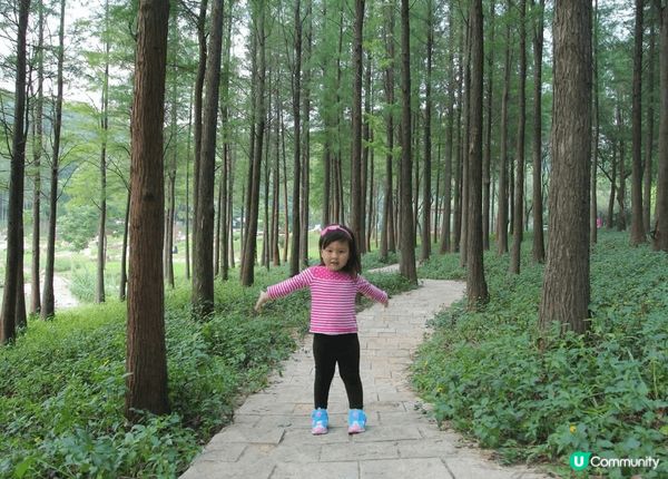 深圳蓮花山公園係來深圳必打卡嘅地方，我太愛蓮花山公園了，嗰度...