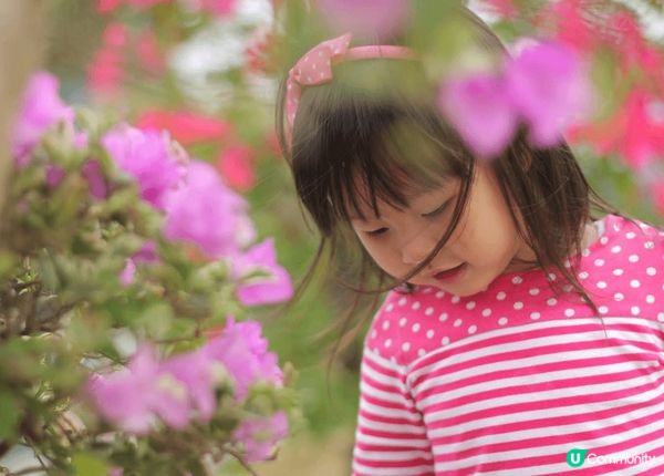 深圳蓮花山公園係來深圳必打卡嘅地方，我太愛蓮花山公園了，嗰度...