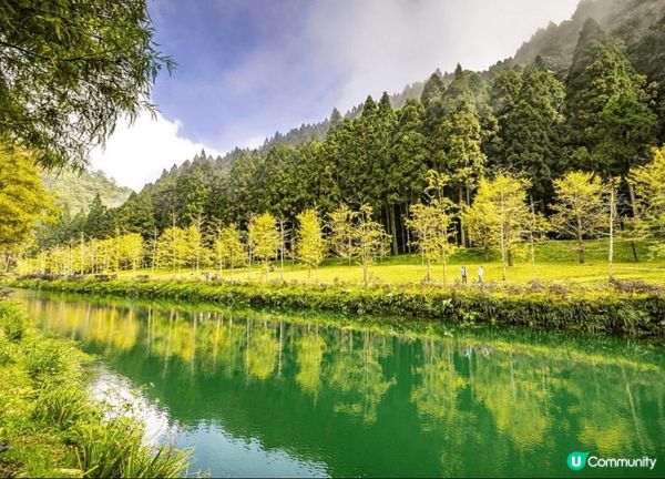 位於台灣南投縣竹山?的杉林溪森林生態渡假園區，可以賞花、樹、...