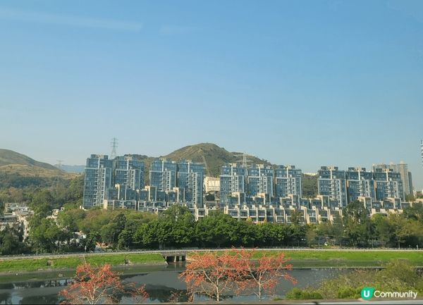 春天是百花齊放的季節，在長途火車旅途上，也欣賞到美麗大自然風...