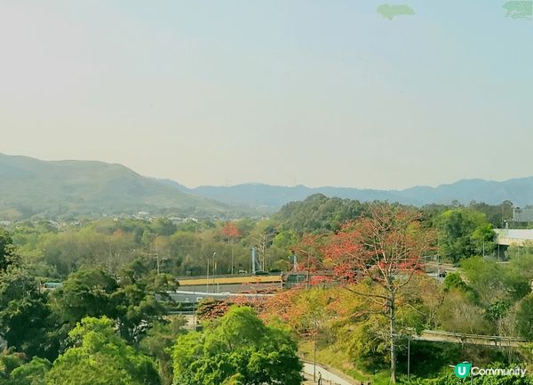 春天是百花齊放的季節，在長途火車旅途上，也欣賞到美麗大自然風...