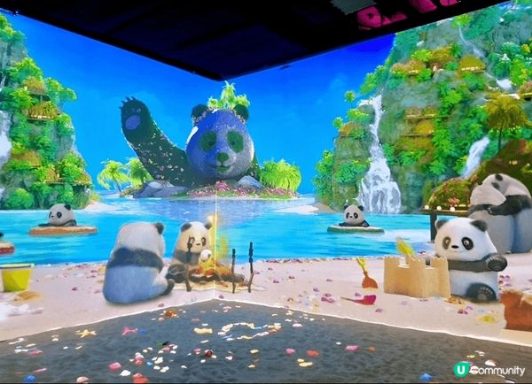 身為大熊貓迷，去旅行都不忘尋找大熊貓蹤影。路經安城Starf...