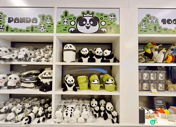 身為大熊貓迷，去旅行都不忘尋找大熊貓蹤影。路經安城Starf...